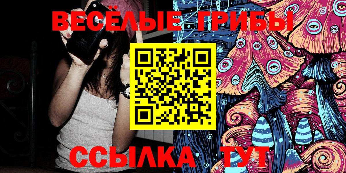 Псилоцибиновые грибы GOLDEN TEACHER Зеленогорск