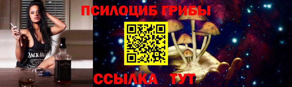Зеленогорск  где можно купить   Вход с VPN  Галлюциногенные грибы прущие грибы 