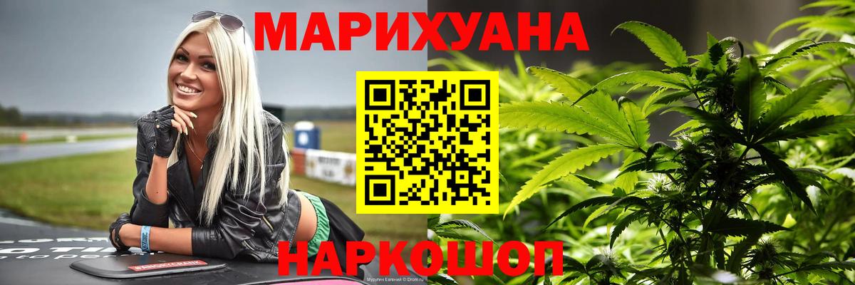 Конопля планчик Зеленогорск